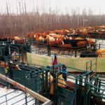 This veterinarian keeps light oil handy on cold days for sticky catches and levers and a heater on the side of the hydraulic tank to keep the oil warm.