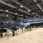 Agribition unveils new trade centre