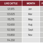 Understanding the forward curve in the futures market