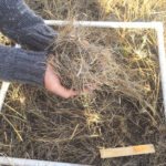 SODCAP provides an annual payment if the habitat targets for specific species are met.