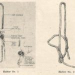 History: Modern Horse Training – Pt. 2