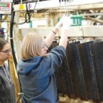 The Olds Technical Access Centre aims to spark innovations that improve livestock production.
