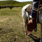 CCA Report: Some good news in July