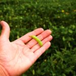 Photo: Thinkstock