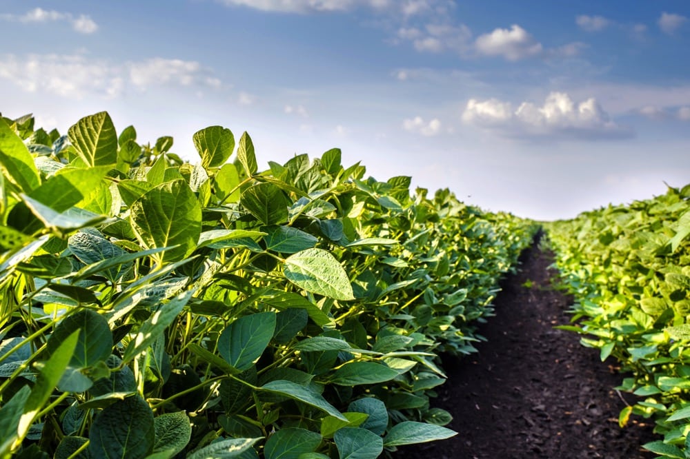Photo: Thinkstock
