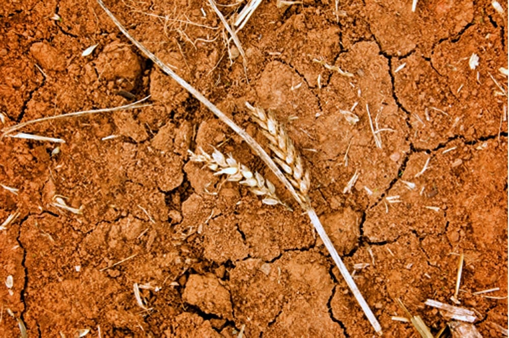 Photo: Thinkstock
