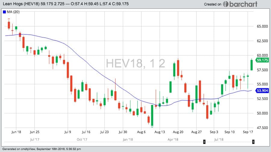 U.S. livestock: Hogs jump on gains in cash hogs, pork prices