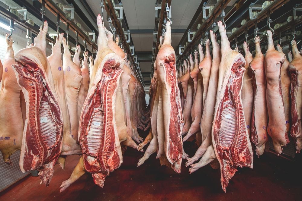 Sides of pork in cold storage. Tariffs on U.S. pork in China and Mexico have curtailed U.S. exports, resulting in price-depressing oversupply. (Agnormark/iStock/Getty Images)
