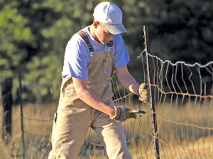 Five ways to avoid payroll fines