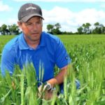 7 tips for on-farm research tests