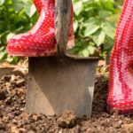 Five tips for eco-friendly gardening