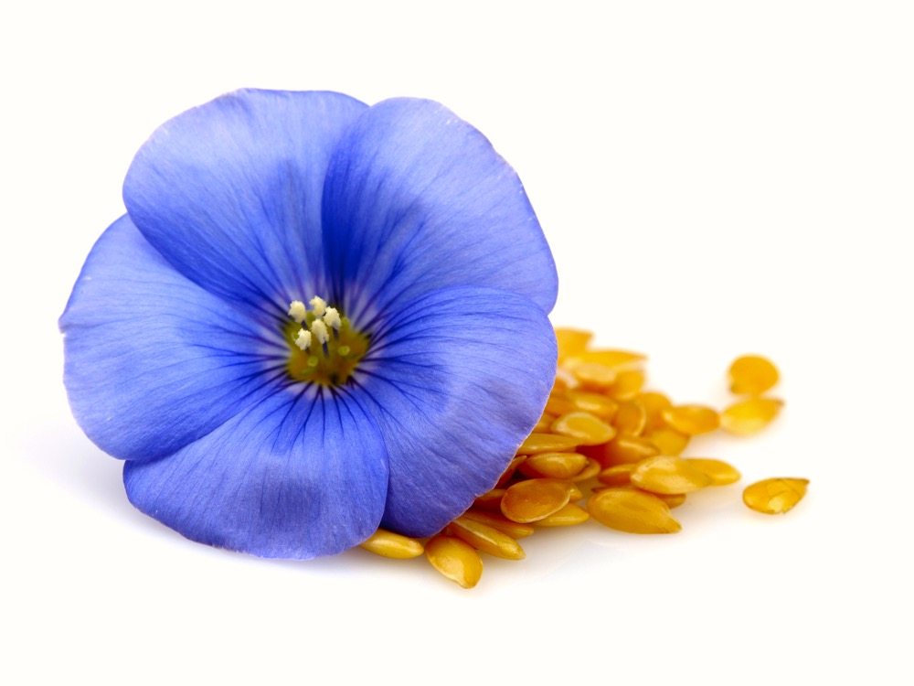 Six tips for better flax agronomy