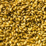 Canadian barley exports for 2018-19 are expected to exceed year-ago levels due to stronger demand from China.