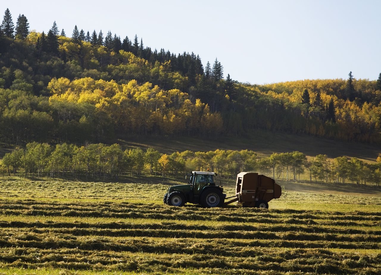 West marshaling feed for Hay East program