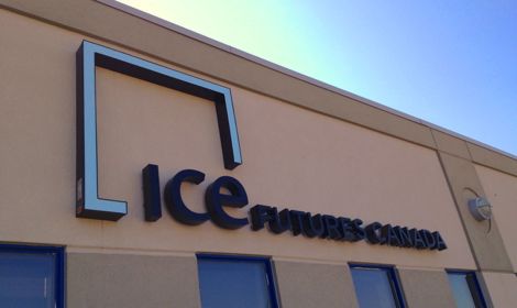 ICE canola contracts moved higher for the seventh consecutive week during the period ending March 19. (Dave Bedard photo)
