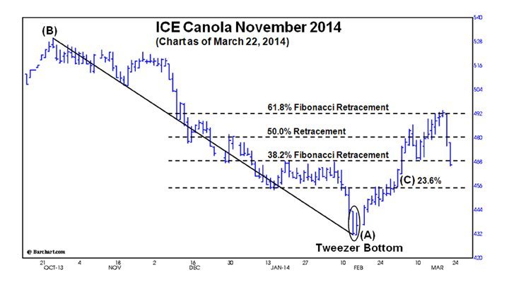 ICE canola, November 2014, as of March 22. (Barchart.com)

