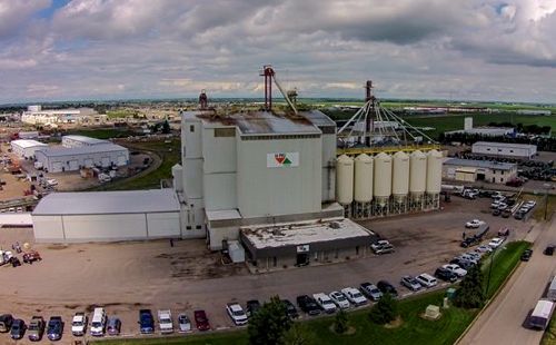 Hi-Pro Feeds plans to buy and close New-Life Mills’ Lethbridge feed mill, then consolidate the two plants’ business at its own Lethbridge mill shown here. (HiProFeeds.com)
