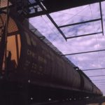 (Canola Council of Canada photo)
