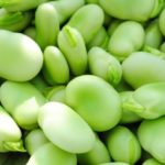 Fababeans. (TamayoProduce.com)