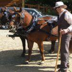 The Saskatchewan Horse Federation named a memorial scholarship for veterinarian Byrnne Rothwell two weeks after his death in 2014. (SaskHorse.ca)