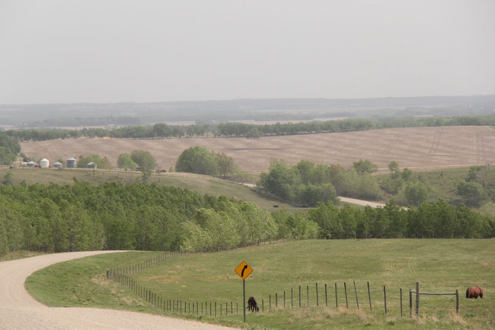 Farm and pastureland east of Mervin, Sask. Seeding is nearing completion in northwest Saskatchewan, but lack of rain means topsoil conditions have deteriorated. (Lisa Guenther photo)

