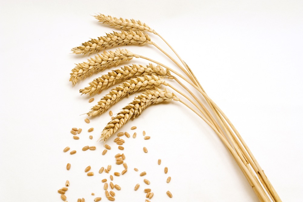 Photo: iStock
