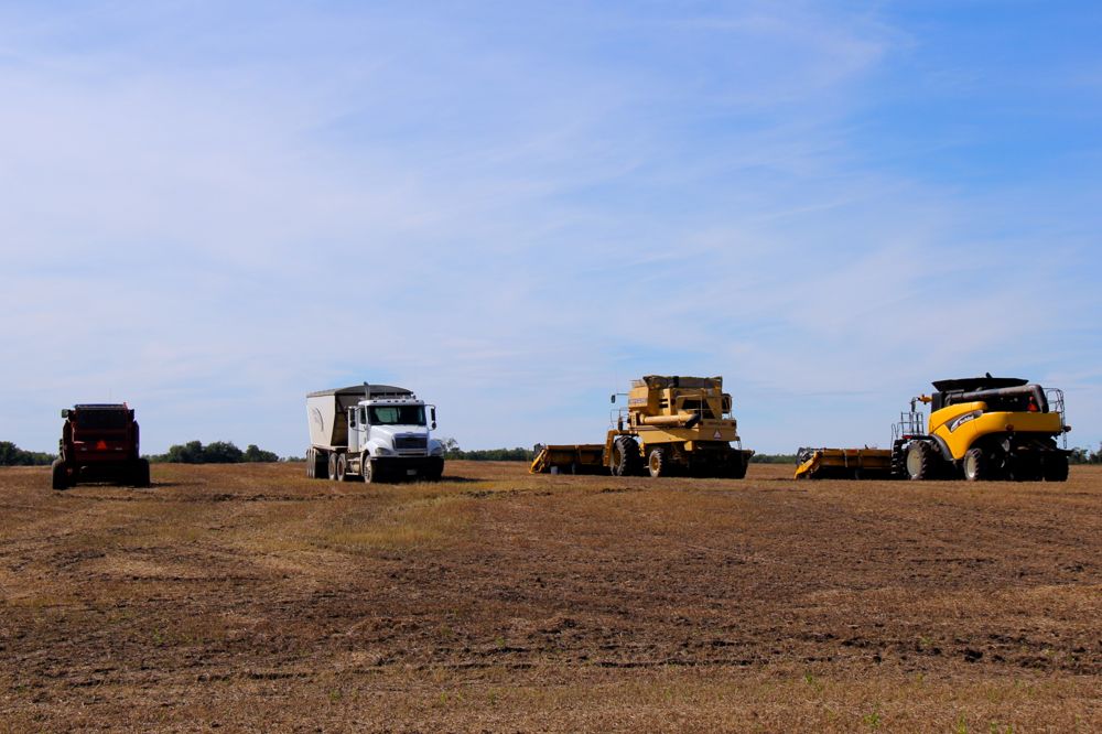 Harvest equipment stands ready in the Livelong, Sask. area, about 100 km north of North Battleford. (Lisa Guenther photo)
