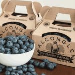 Organic B.C. blueberries. (Falconglen.ca)