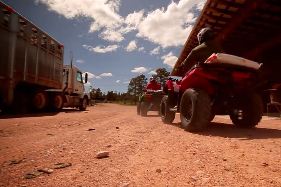 (ArcticCat.com)
