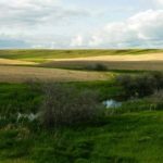 (WSask.ca)
