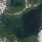 An algae bloom at the west end of Lake Erie, off of Ohio, Michigan and southwestern Ontario, seen from space on Aug. 3, 2014. (NASA Goddard Space Flight Center photo)