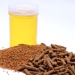 Camelina oil, seed and feed pellets. Photo: Alberta Agriculture
