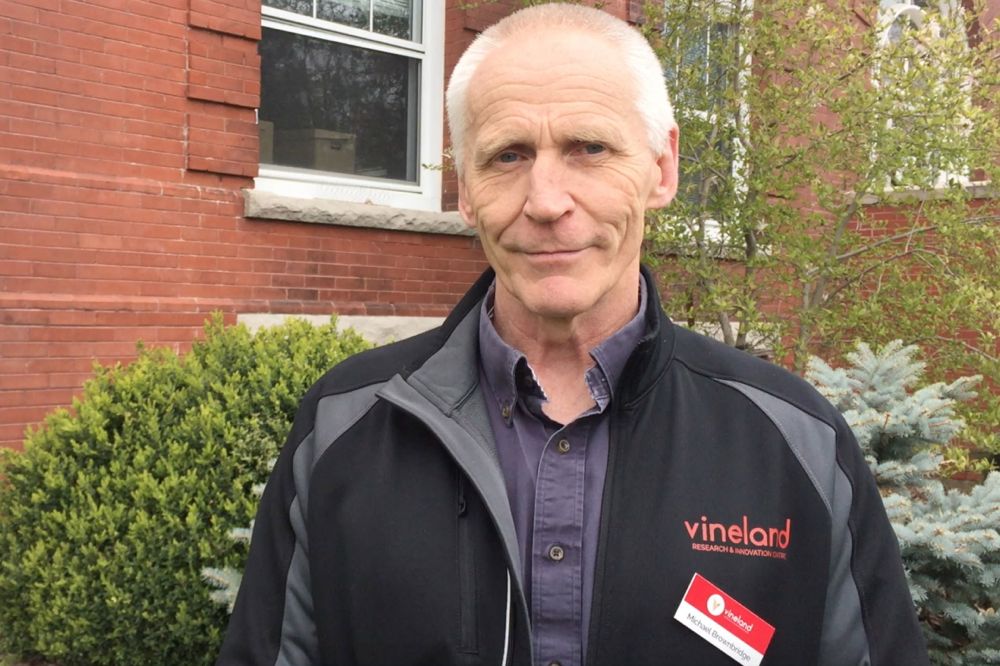 Michael Brownbridge manages research in horticultural production systems at the Vineland Research and Innovation Centre. (John Greig photo)
