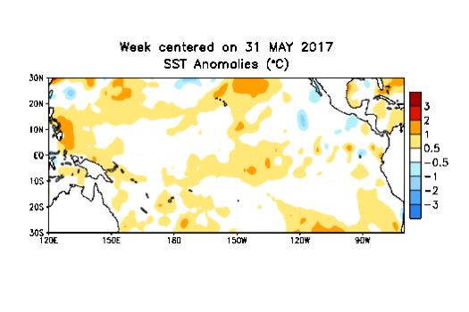 Sea surface temperature anomalies over the Pacific for the week centred on May 31. (CPC.ncep.noaa.gov)

