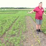 Speaking July 5 at the Crop Diagnostic School in Carman, Manitoba Agriculture’s Terry Buss shows a Roundup Ready 2 soybean plot dying due to dicamba drifting over from the Xtend soybean plot at left. (Allan Dawson photo)