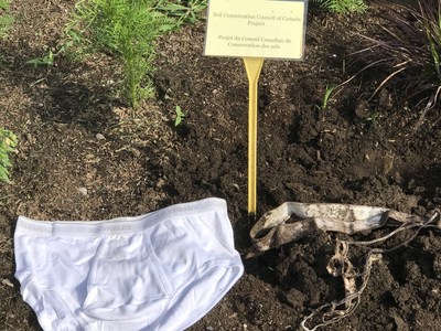 Side-by-side comparison of the Stanfield’s undies. Left – brand new undies; right – official SCCC undies that were dug up at the Canada Agriculture and Food Museum in Ottawa. Photo: CNW Group/Soil Conservation Council of Canada (SCC)
