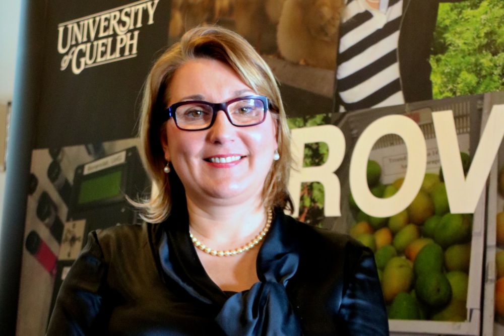 Dana McCauley has been working to launch Accelerator Guelph since she joined the Research Innovation office at the University of Guelph late last year. (John Greig photo)
