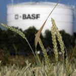 (BASF.com)