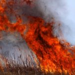 Four ways to help protect your farm from fire