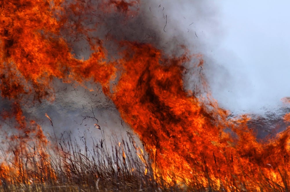 Four ways to help protect your farm from fire