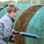 Testing forage generally requires a minimum of 10 to 15 samples to get an accurate representation.
