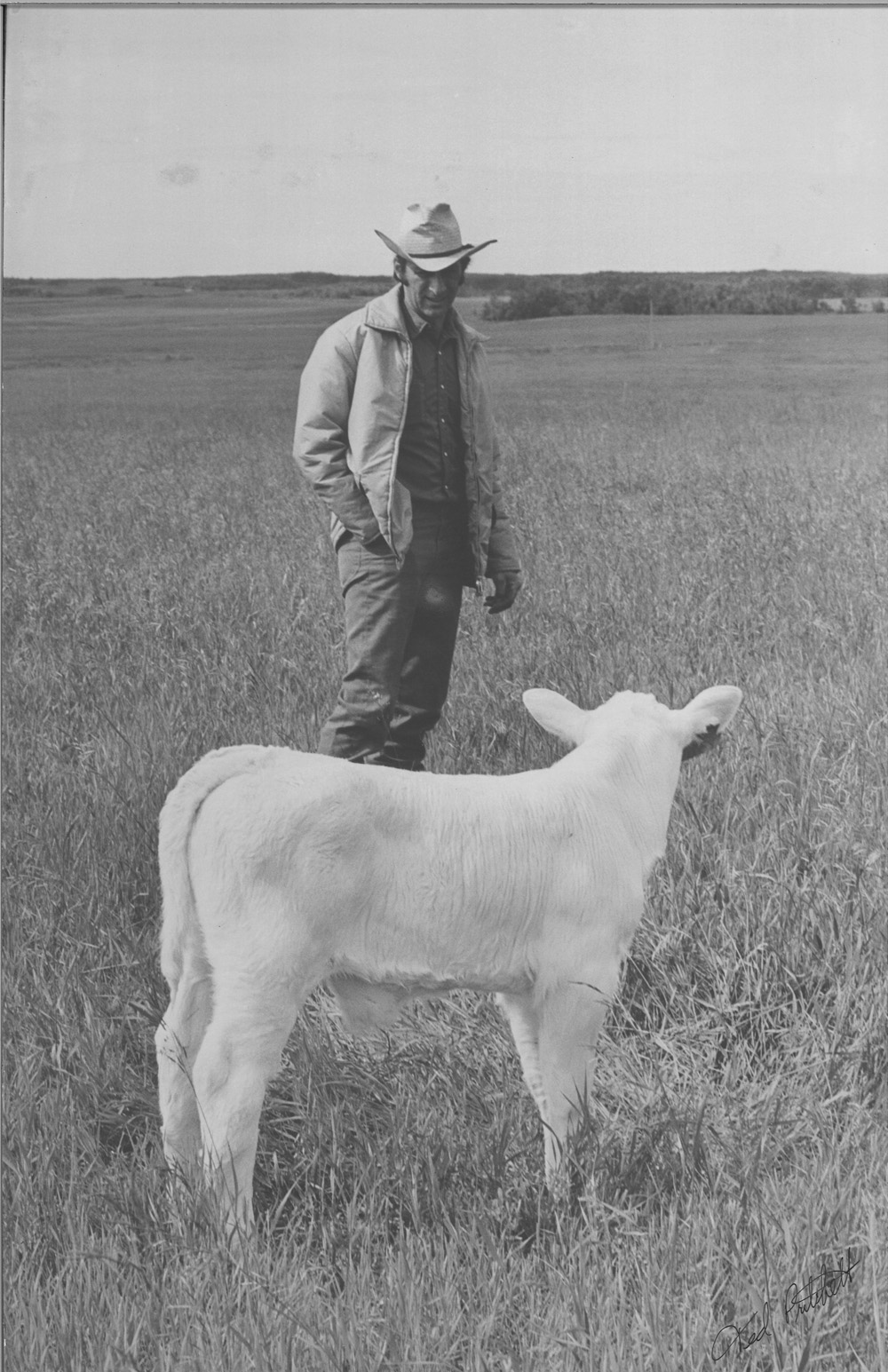 Don Pochylko with calf.