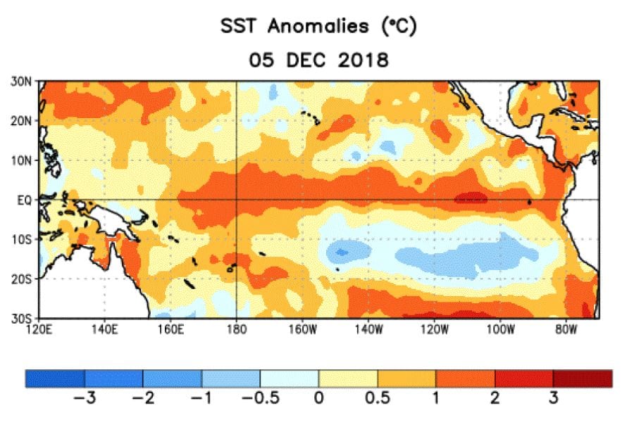 Average sea surface temperature (SST) anomalies over the Pacific Ocean for the week centred on Dec. 5. (CPC.ncep.noaa.gov)
