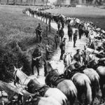 Members of the Royal Scots Greys cavalry regiment rest their horses by the side of the road in France.