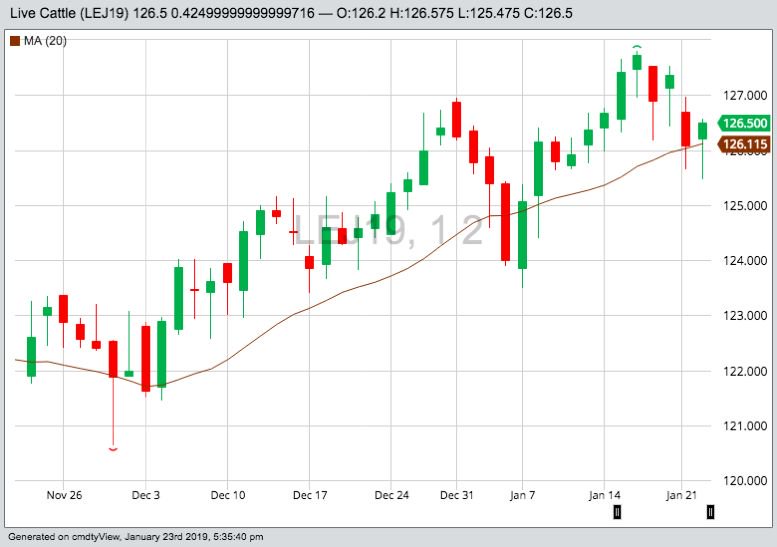 U.S. livestock: CME cattle futures rise on bargain buying