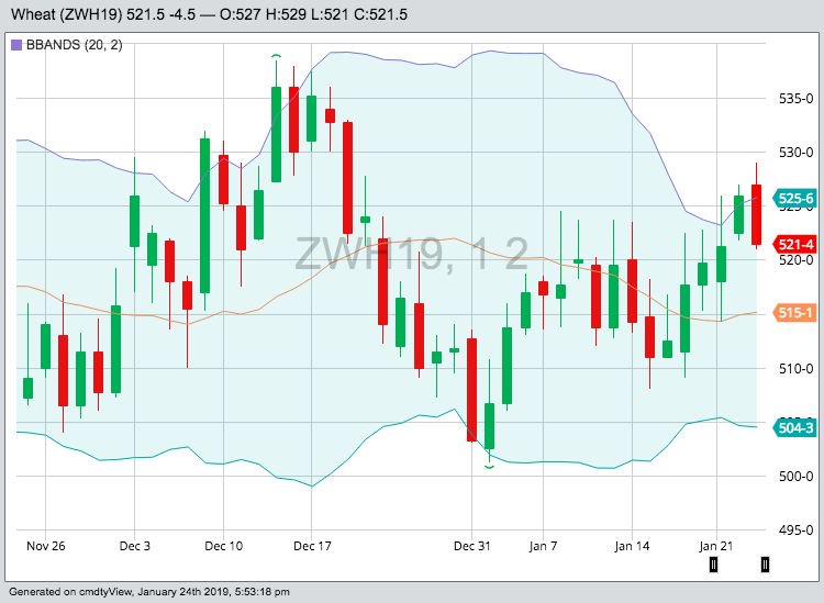 CBOT March 2019 wheat with Bollinger (20,2) bands. (Barchart)
