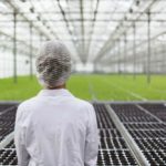 (Aphria.ca)