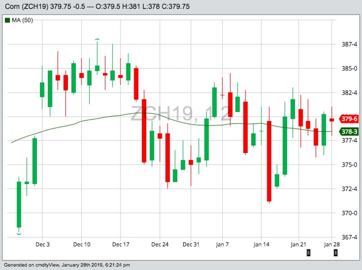 CBOT March 2019 corn with 50-day moving average. (Barchart)
