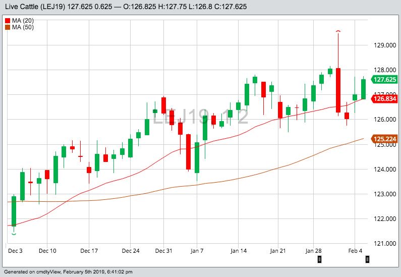 U.S. livestock: Hogs fall on technical selling, live cattle up
