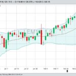 U.S. livestock: Cattle end mixed, June sets new high